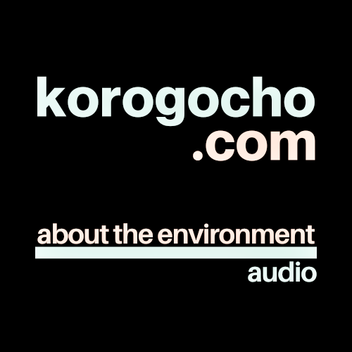 korogocho com audio environment